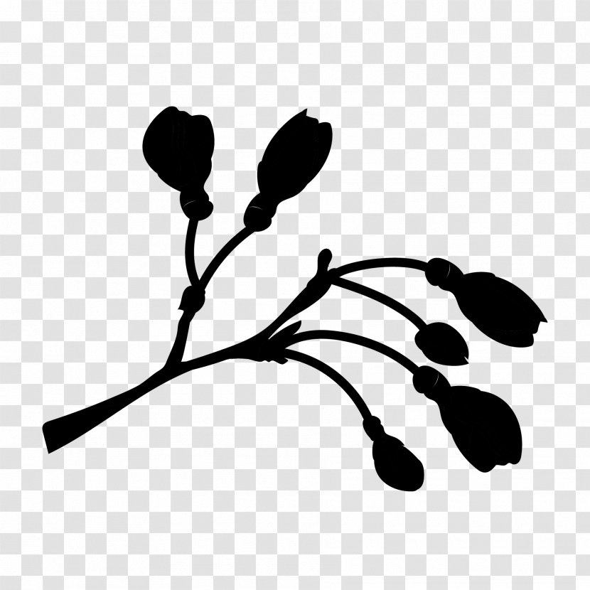 Twig Plant Stem Leaf Clip Art Flower - Botany Transparent PNG