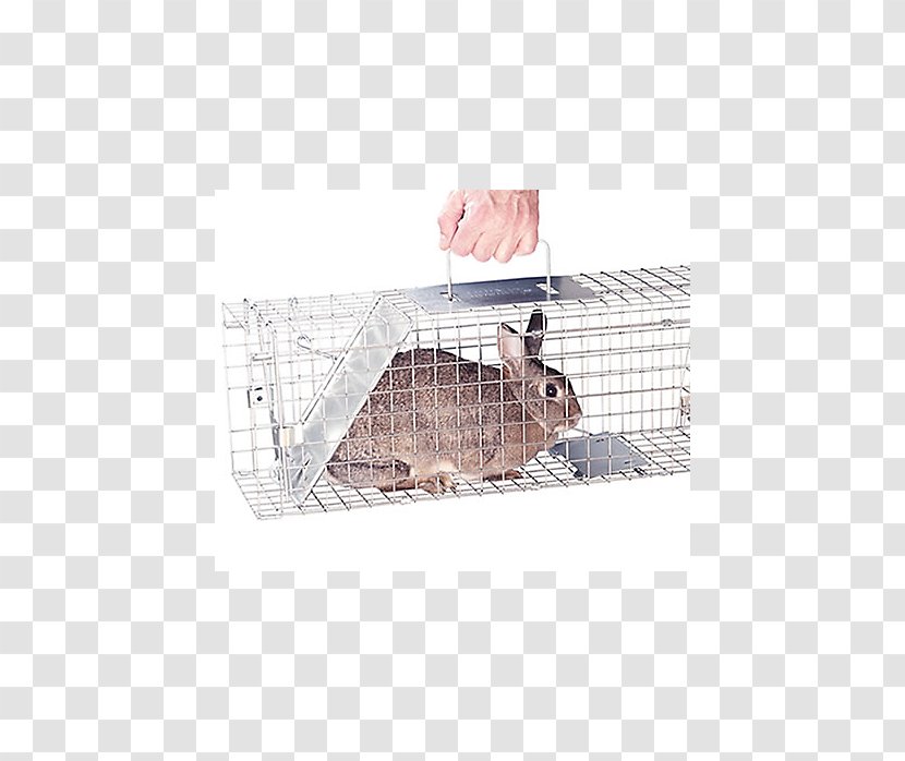 Hare Squirrel Trapping Rabbit Cage - Pet - Mouse Trap Transparent PNG