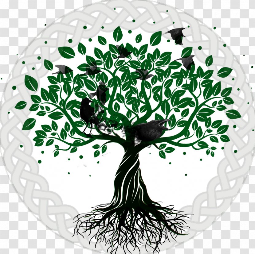 Tree Of Life - Organism Transparent PNG