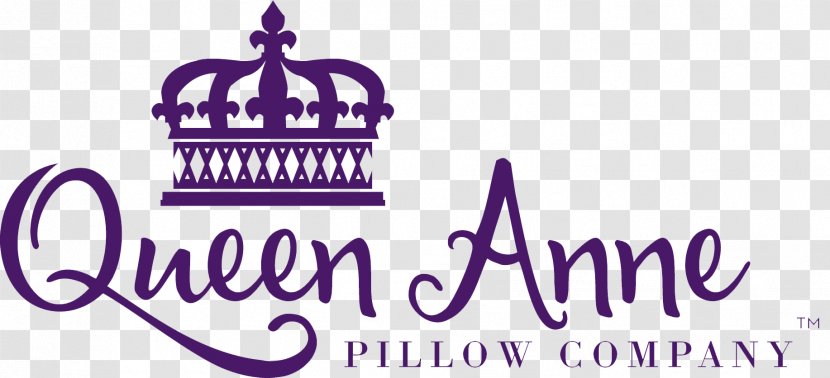 Pillow Down Feather Business Queen Anne Hypoallergenic Transparent PNG