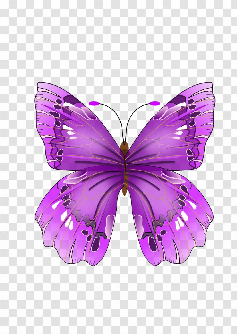 Papilionoidea Insect Craft Magnets Clip Art - Awareness Ribbon - Purple Background Transparent PNG