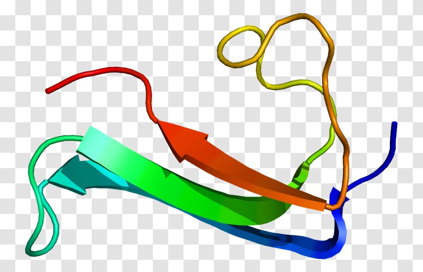 Midkine Protein Pleiotrophin Gene Heparin - Silhouette Transparent PNG