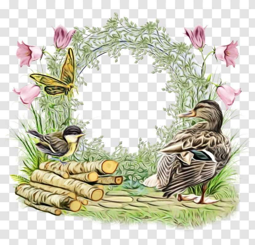 Love Bird - Ducks Geese And Swans - Plant Grass Transparent PNG