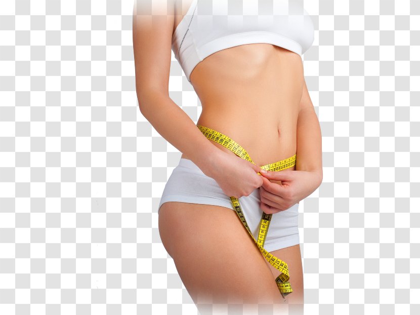 Adipose Tissue Weight Loss Cellulite Human Body Waist - Tree - Woman Transparent PNG