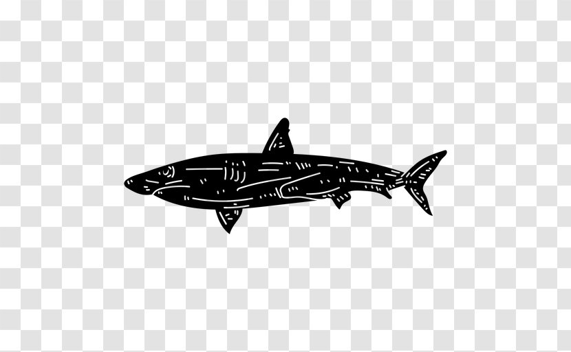 Great White Shark Background - Vehicle Killer Whale Transparent PNG