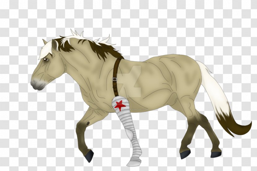 Mane Foal Mustang Mare Stallion - Halter Transparent PNG