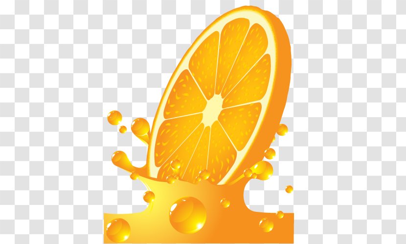 Orange Juice Clip Art - Royaltyfree - Vector Transparent PNG