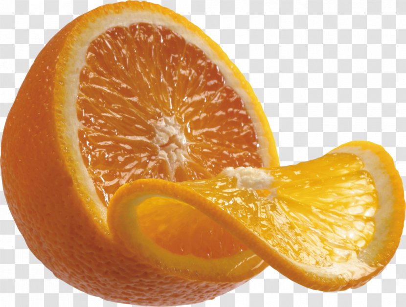 Orange Clip Art Citrus Fruit - Citron Transparent PNG