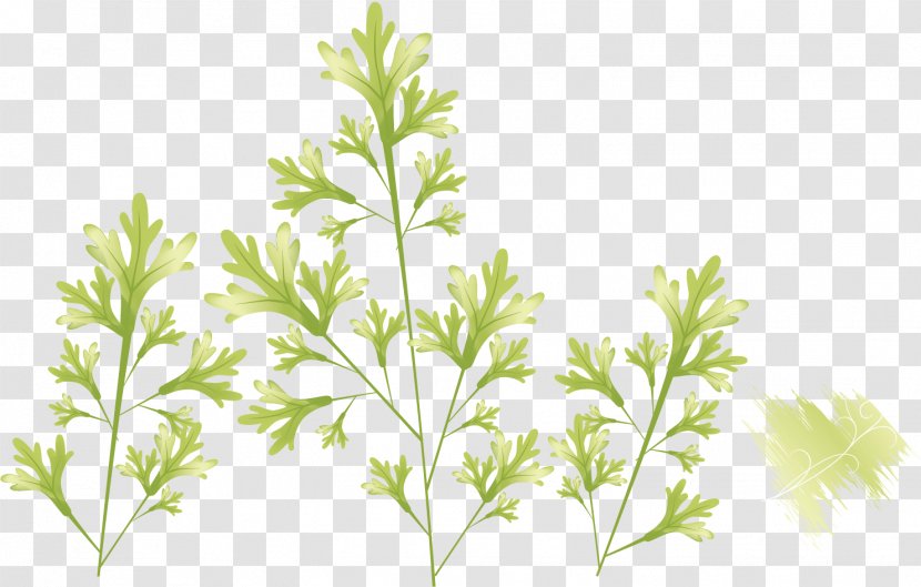 Leaf Photography Illustration - Drawing - Green Grass Background Material Transparent PNG
