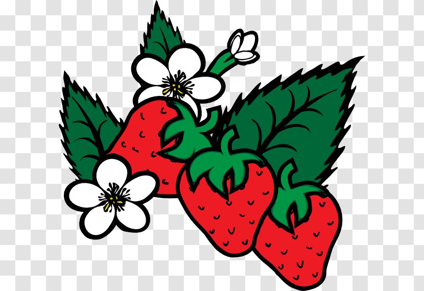 Virginia Strawberry Shortcake Coloring Book Fruit - Cartoon Strawberries Transparent PNG