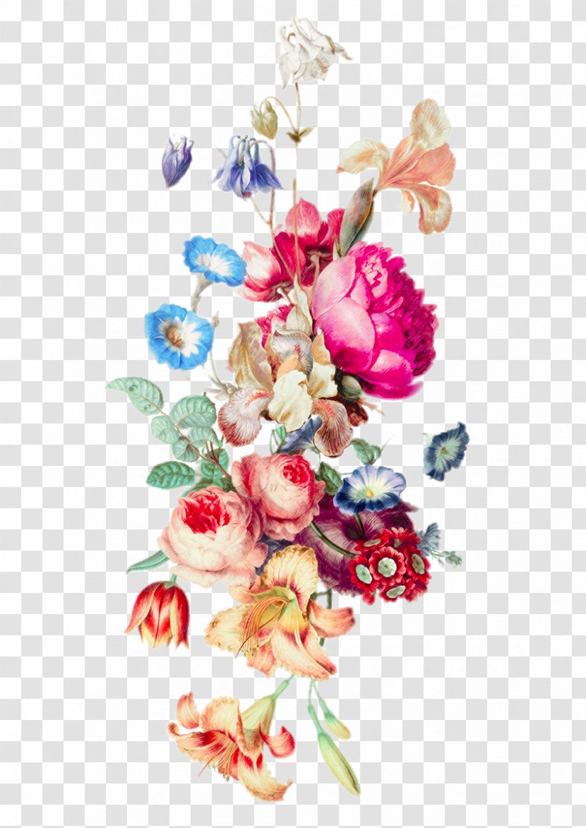 IPhone 6 Plus Floral Design Cut Flowers Flower Bouquet - Still Life Photography - HD Of Various Colors Transparent PNG