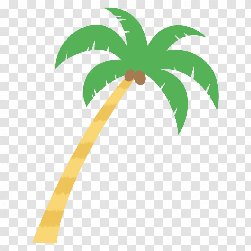 Palm Tree - Woody Plant Transparent PNG