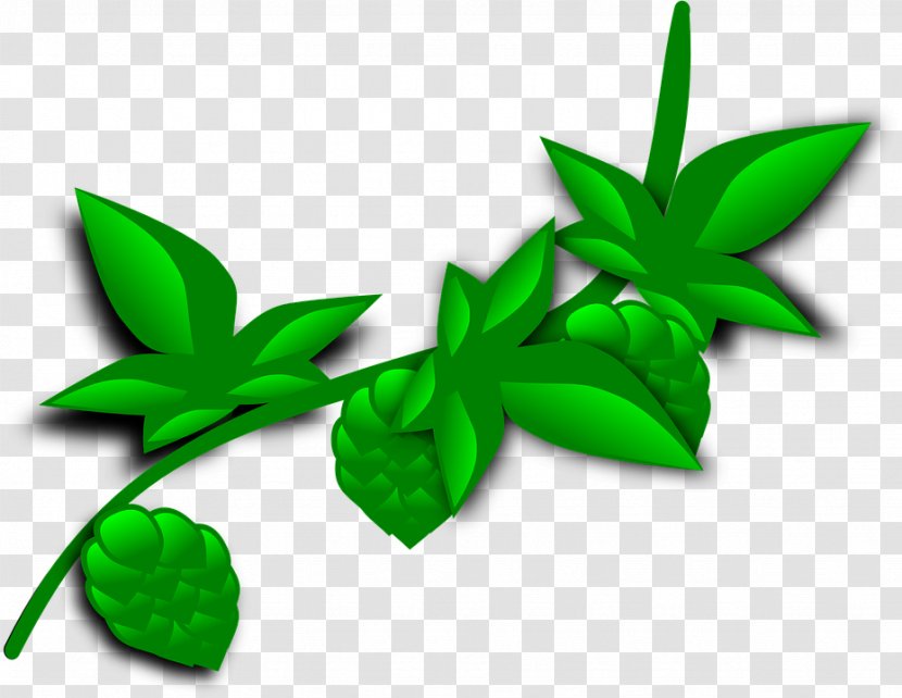 Clip Art Plants Openclipart Vector Graphics Image - Leaf Transparent PNG