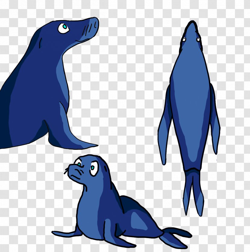 Dolphin Sea Lion Penguin Killer Whale Bird - Cetacea Transparent PNG