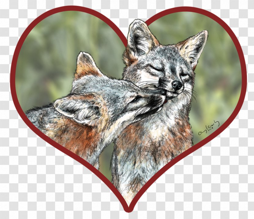 Red Fox Gray Coyote Silver - Dog Like Mammal Transparent PNG