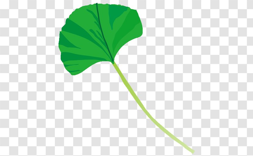 Leaf Plant Stem Line Tree - Green Transparent PNG