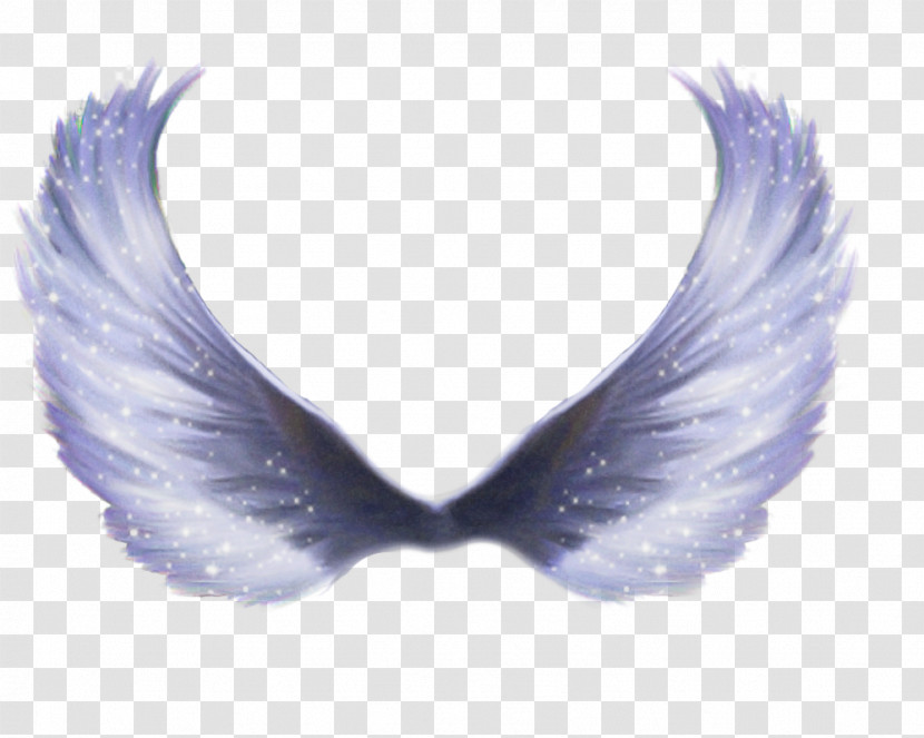 Feather Transparent PNG