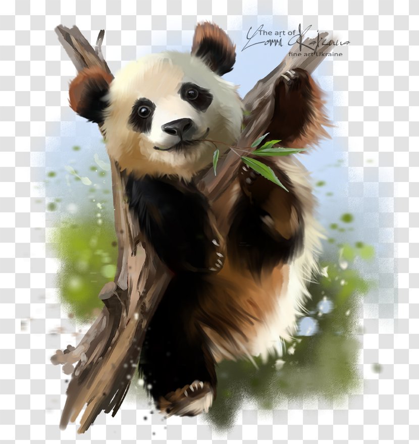 Giant Panda Paper Red Watercolor Painting - Drawing - Bear Transparent PNG