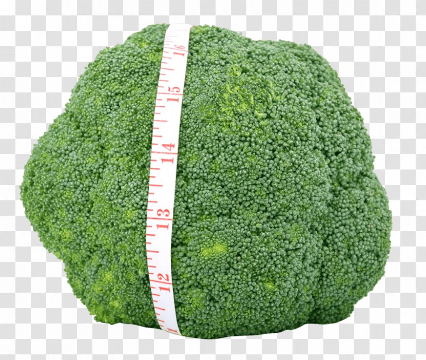 Broccoli Smoothie Vegetable Cauliflower Food - Shrub Transparent PNG