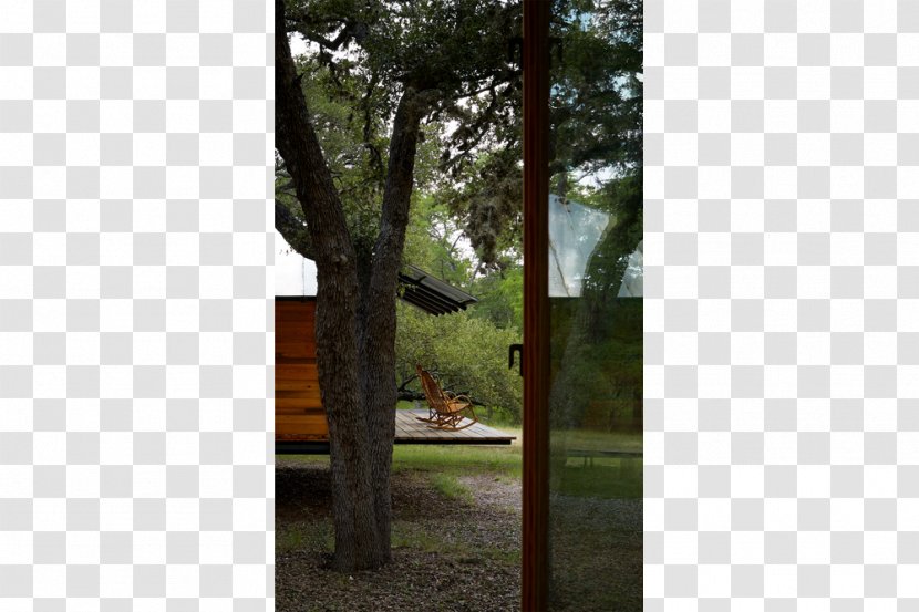 Tree Window Landscape Wood /m/083vt - Woody Plant Transparent PNG