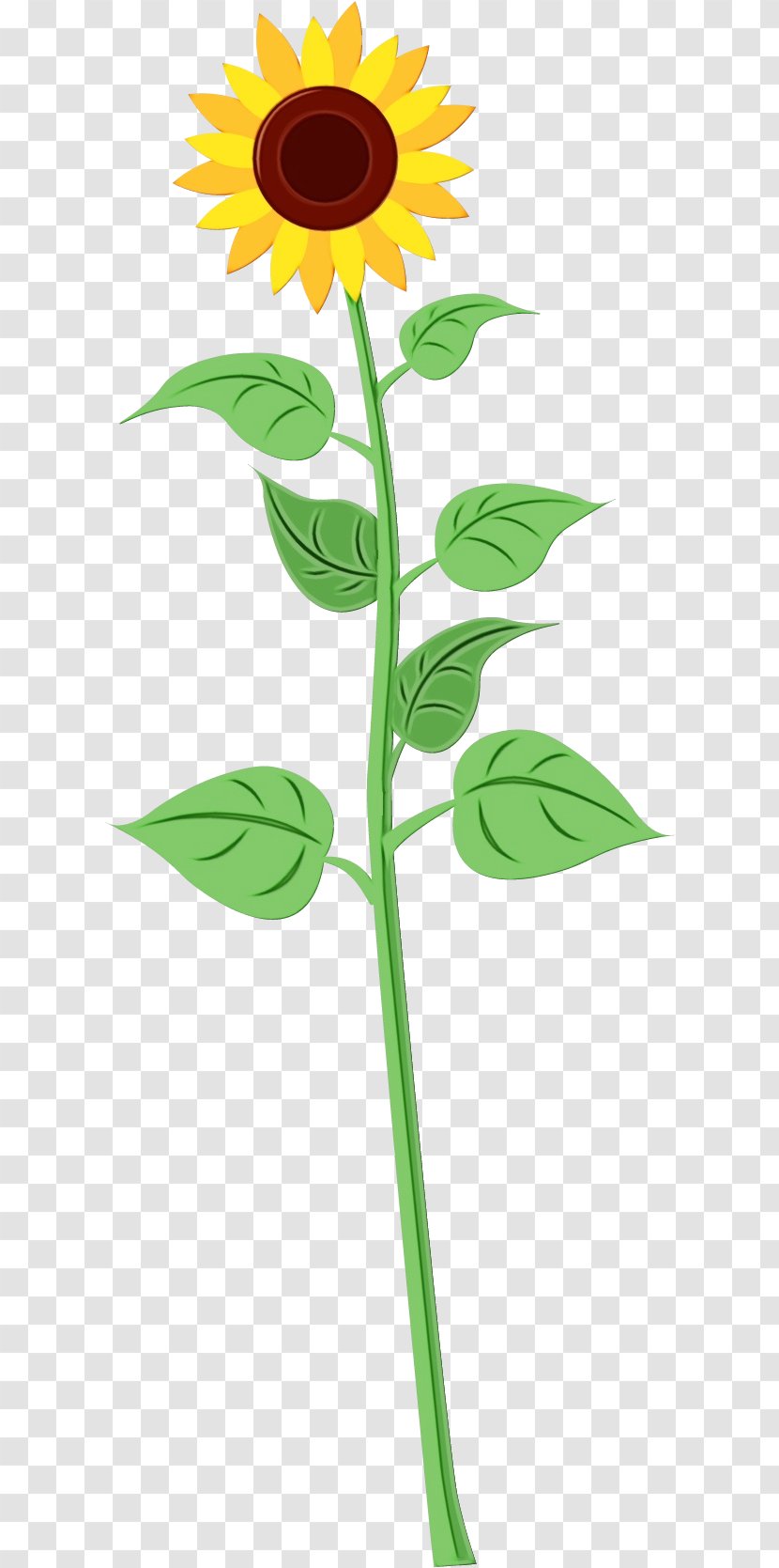 Drawing Cartoon Plants Coloring Book Doodle - Herb Plant Stem Transparent PNG