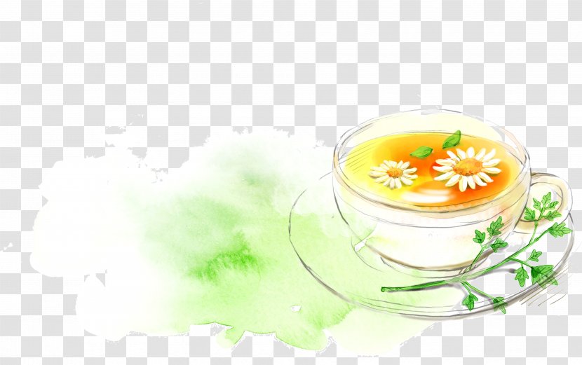 Flowering Tea Chrysanthemum Green - Google Images - Painted Transparent PNG