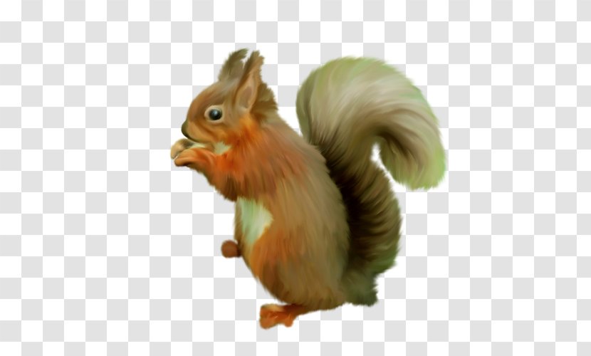 Tree Squirrel GIMP - Animal Transparent PNG