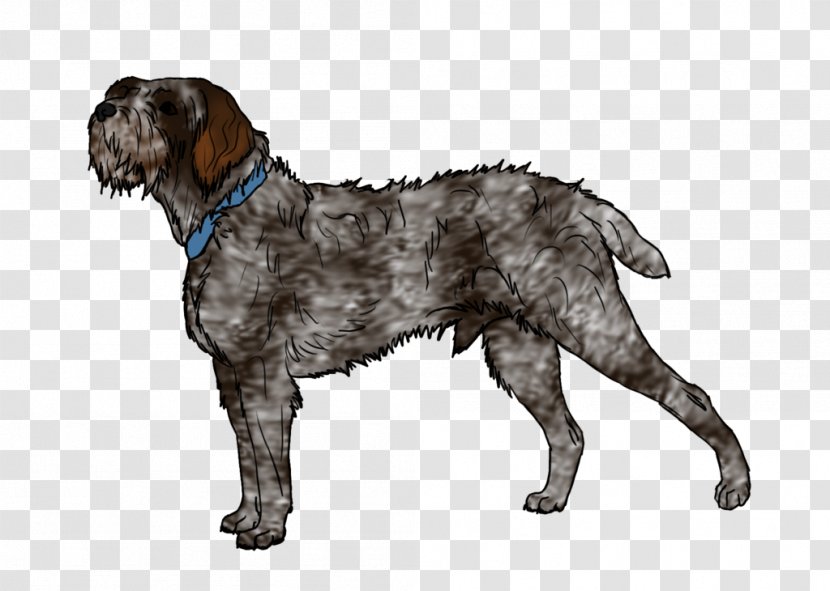 Wirehaired Pointing Griffon Spinone Italiano German Pointer Dog Breed - Baby Transparent PNG