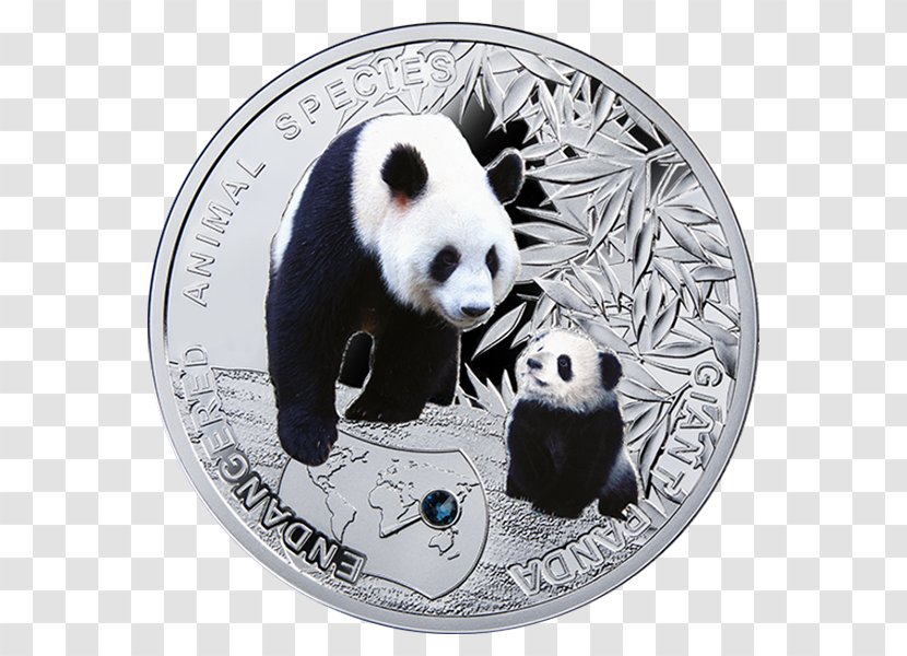 The Giant Panda Endangered Species Niue Saving Animals - Dollar Coin - Tiger Transparent PNG