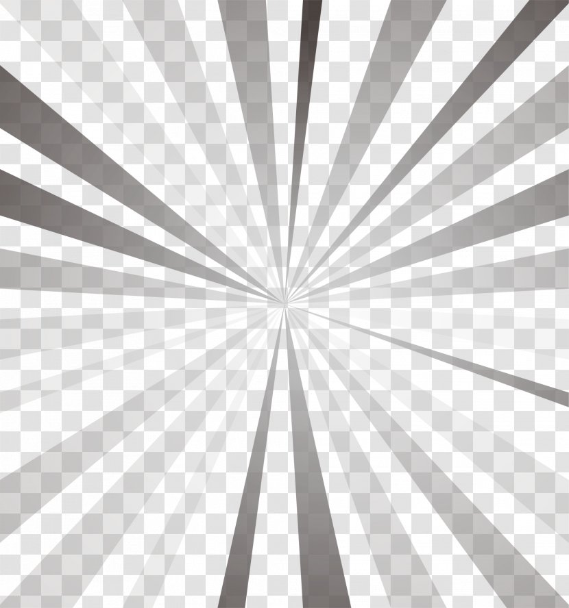 Light Black And White Icon - Gray Ray Transparent PNG
