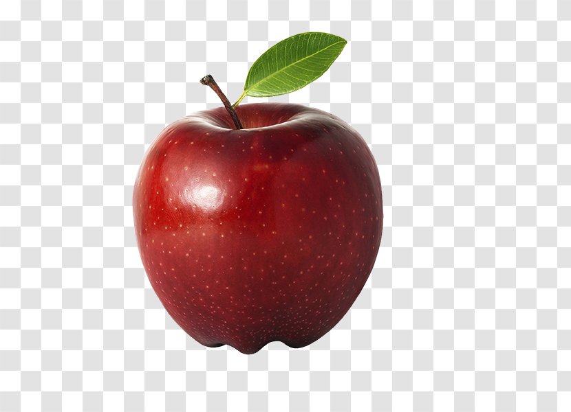 School Food Teacher Apple Fruit - Middle - Purple Transparent PNG