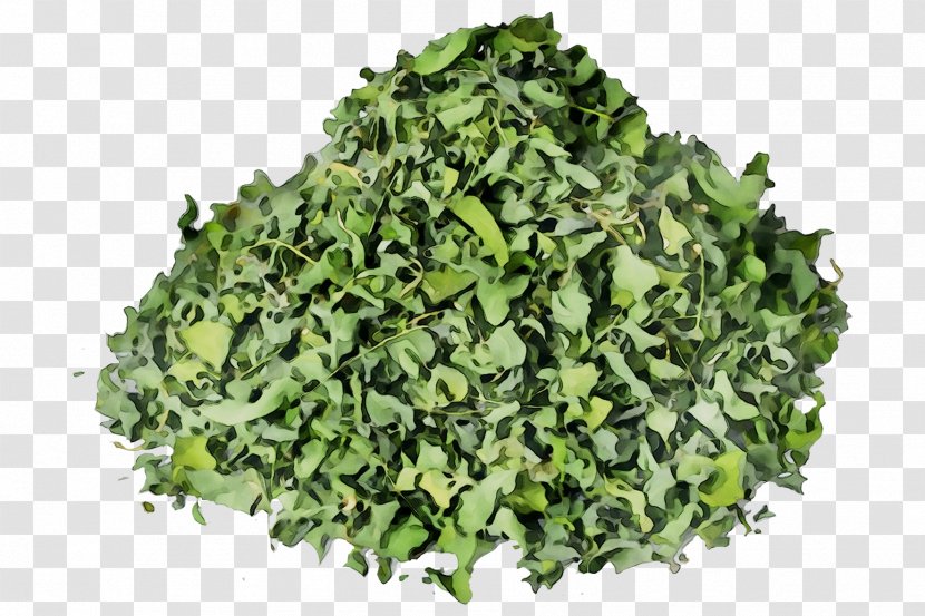 Spinach Herb - Food Transparent PNG