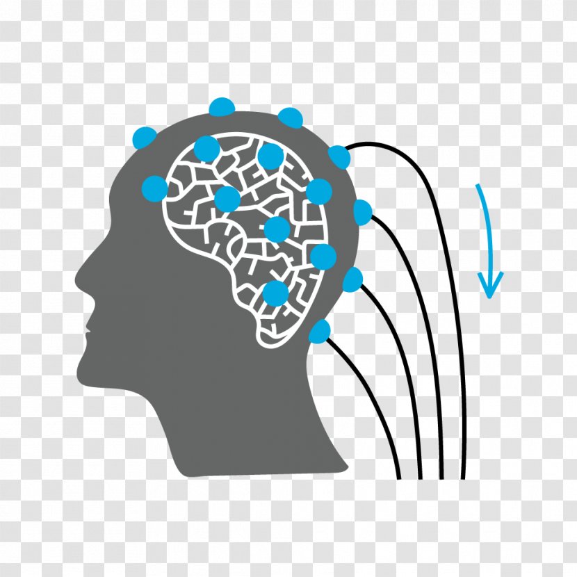 Electroencephalography Brain Bereitschaftspotential Neuron - Heart Transparent PNG