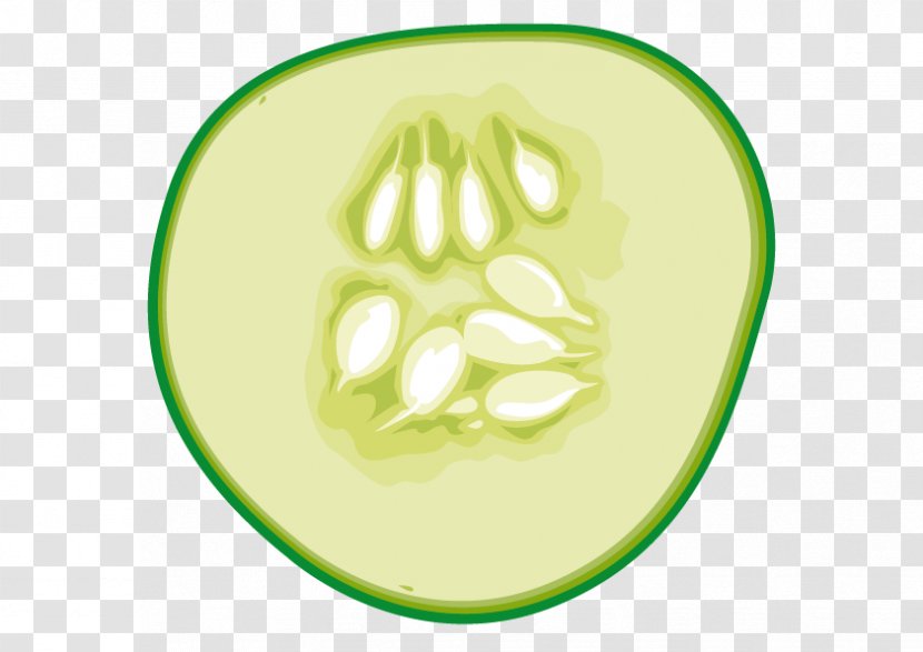 Cucumber Euclidean Vector Vegetable - Healthy Diet Transparent PNG