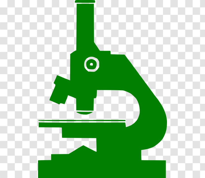 Microscope Clip Art - Leaf Transparent PNG