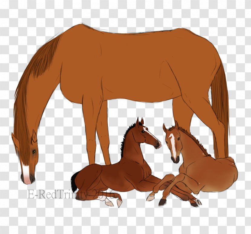 Mustang Foal Stallion Bridle Halter - Wildlife - Odd Future Drawings Transparent PNG