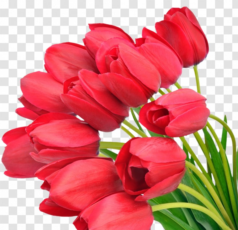 Flower Bouquet Mother's Day Tulip Desktop Wallpaper - Petal - Tulips Transparent PNG