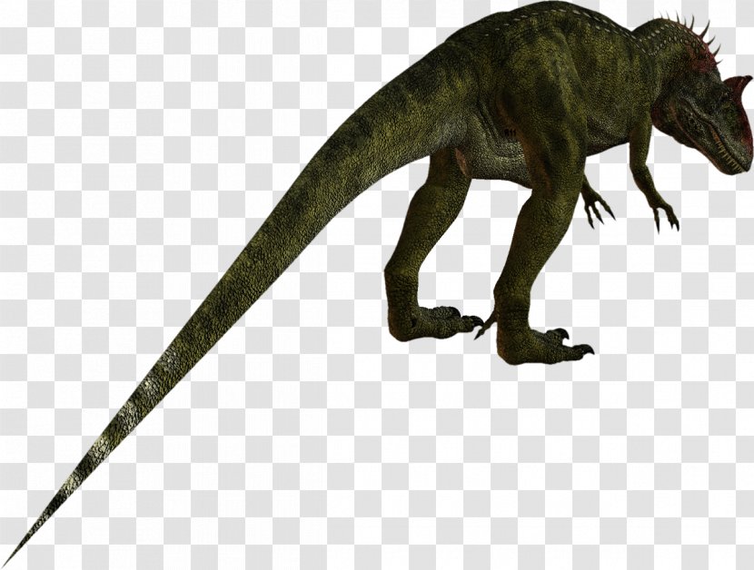 Tyrannosaurus Velociraptor Reptile Dinosaur Terrestrial Animal - Dinosaurs Transparent PNG