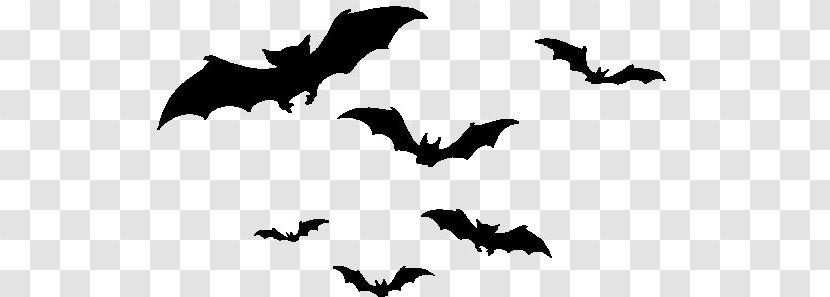 Halloween Bat Clip Art - Document Transparent PNG