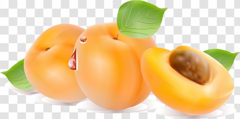 Apricot Fruit Peach Computer File - Local Food Transparent PNG