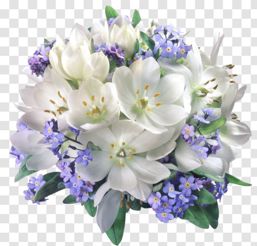 Flower Bouquet Clip Art - Delphinium - Plants Flowers And Floral Patterns Transparent PNG