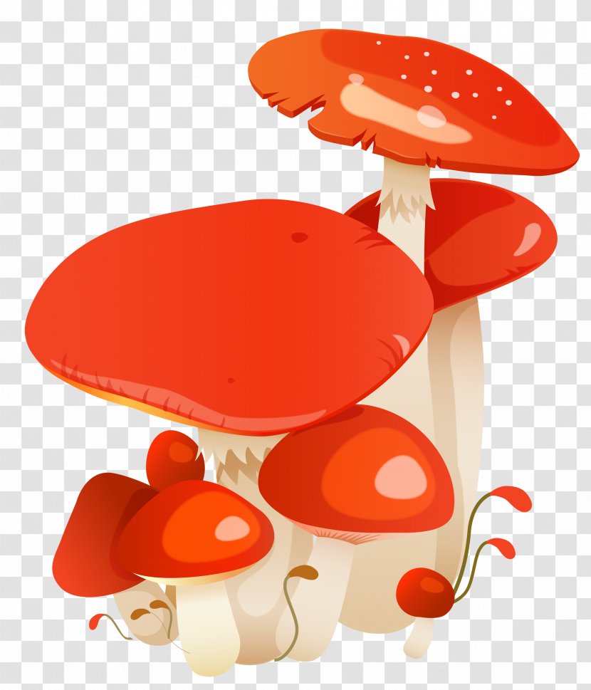 Fungus Common Mushroom - Tree Transparent PNG