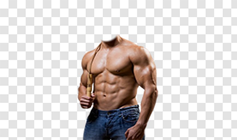 Bodybuilding Photography Weight Training - Tree Transparent PNG