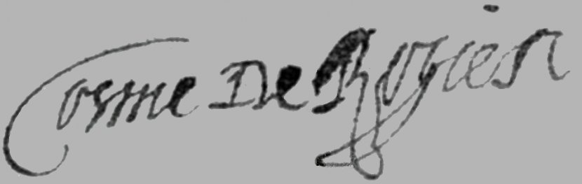 Logo Brand Calligraphy Font - Line Art - Design Transparent PNG