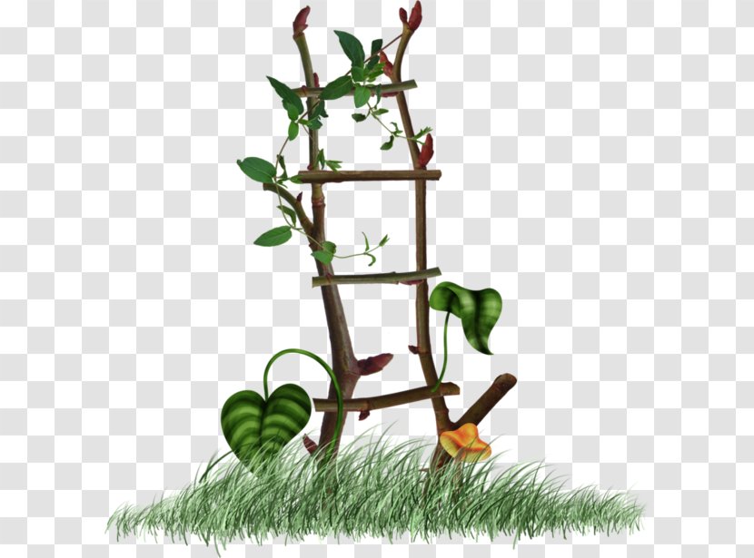 Download - Flowerpot - Splicing Ladder Picture Transparent PNG