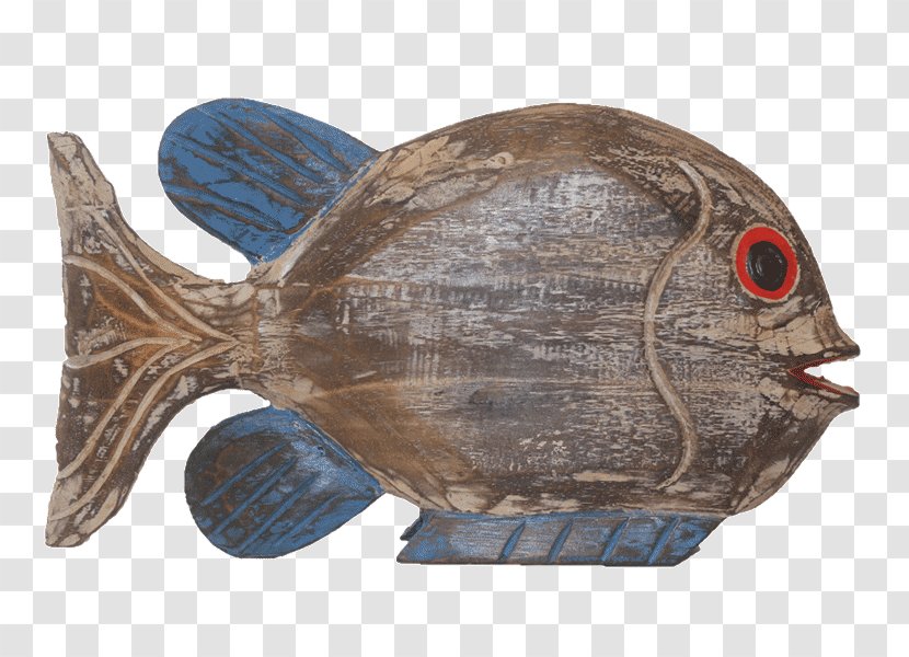 Flounder Fauna Tilapia - Organism - Wooden Ship Anchors Wheels Transparent PNG