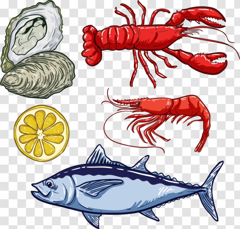 Fish Lobster Seafood Illustration - Drawing - Vector Red And Transparent PNG