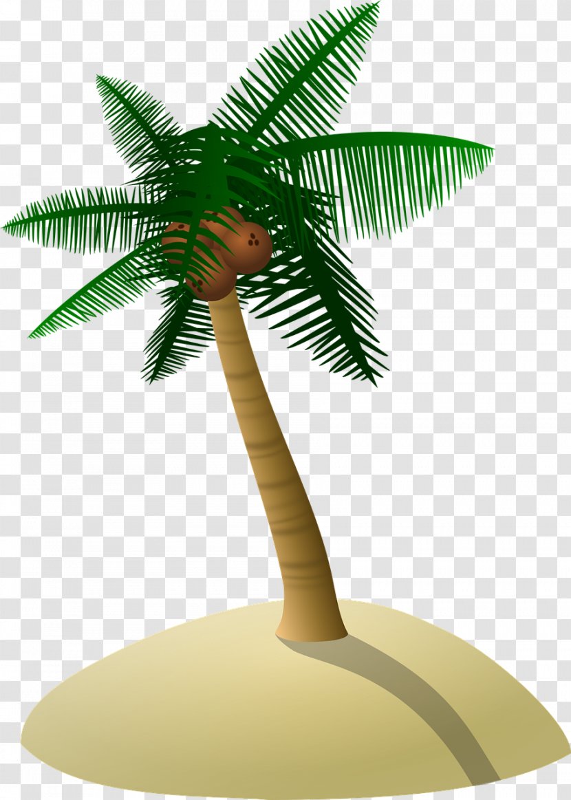 Coconut Arecaceae Clip Art - Borassus Flabellifer - Tree Transparent PNG