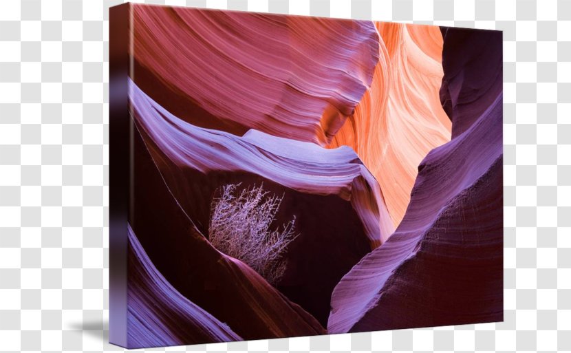 Antelope Canyon Gallery Wrap Desktop Wallpaper Canvas Art - Computer - Tumble Weed Transparent PNG
