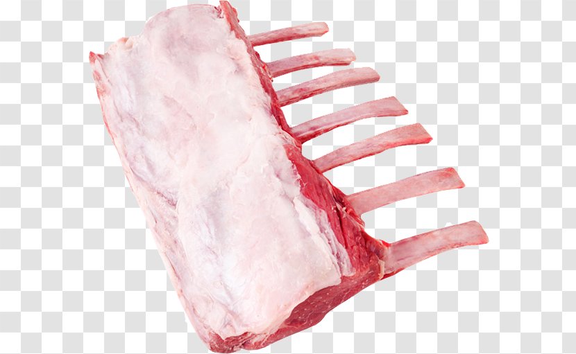 Calf Red Meat Lamb And Mutton Chop - Flower Transparent PNG